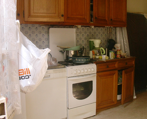 Rénovation d'une villa parisienne #4